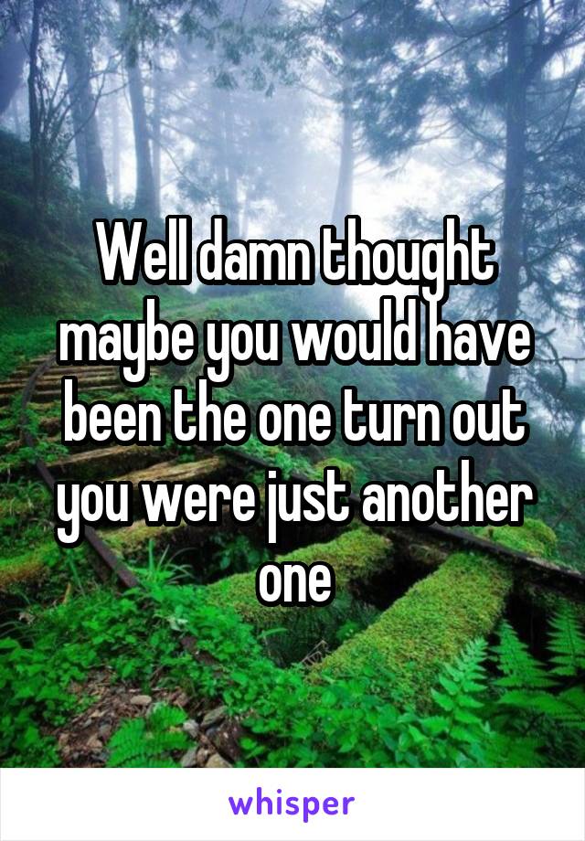 Well damn thought maybe you would have been the one turn out you were just another one