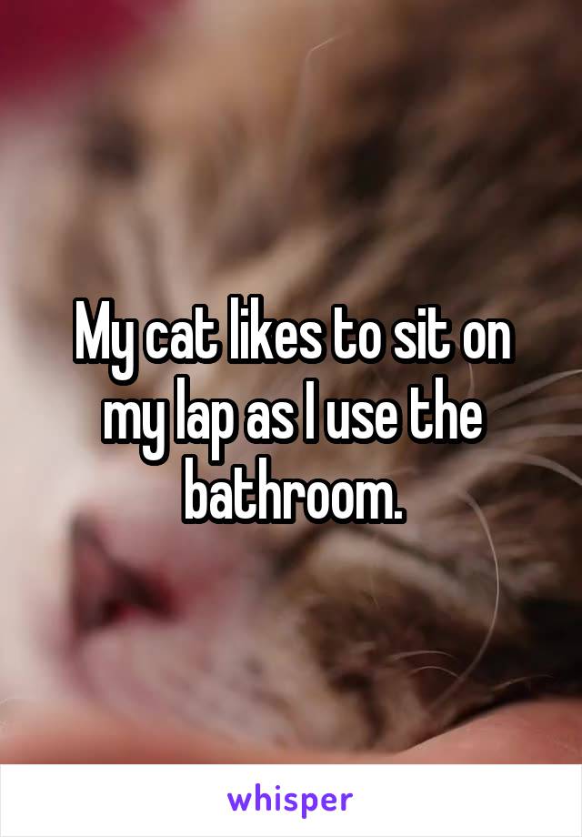 My cat likes to sit on my lap as I use the bathroom.