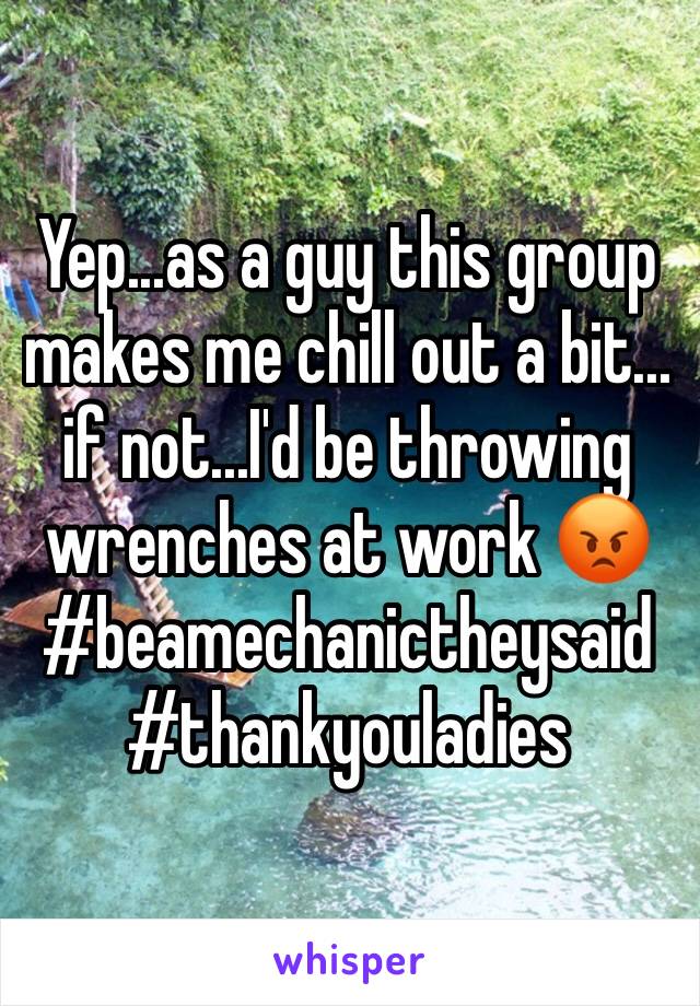 Yep...as a guy this group makes me chill out a bit... if not...I'd be throwing wrenches at work 😡 #beamechanictheysaid
#thankyouladies 