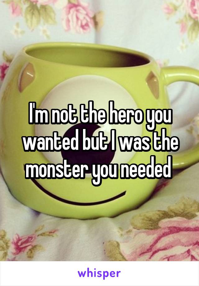 I'm not the hero you wanted but I was the monster you needed 