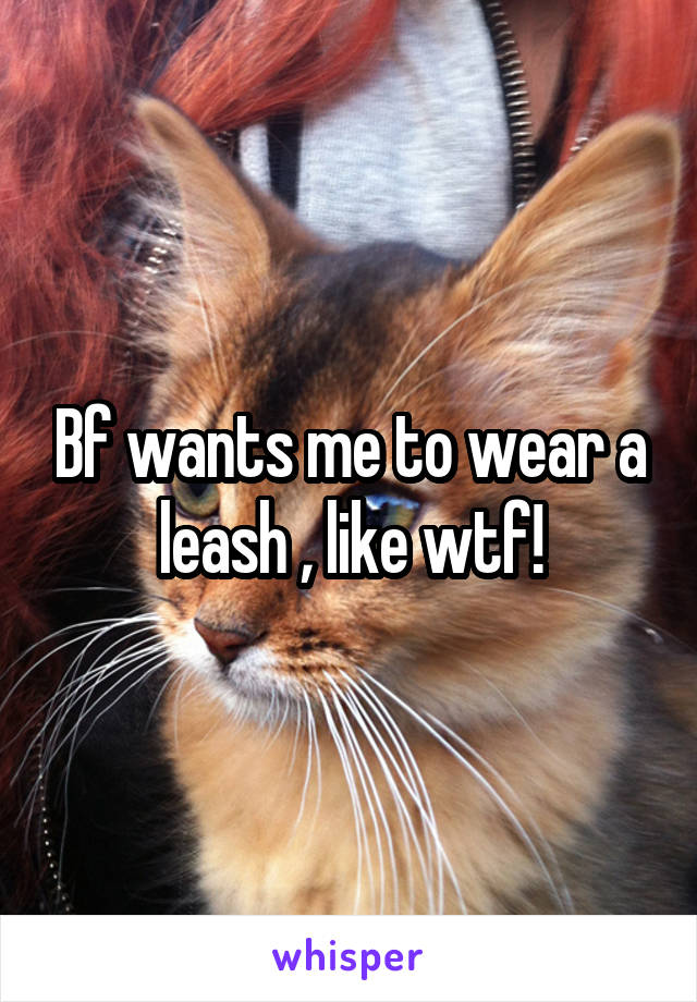 Bf wants me to wear a leash , like wtf!