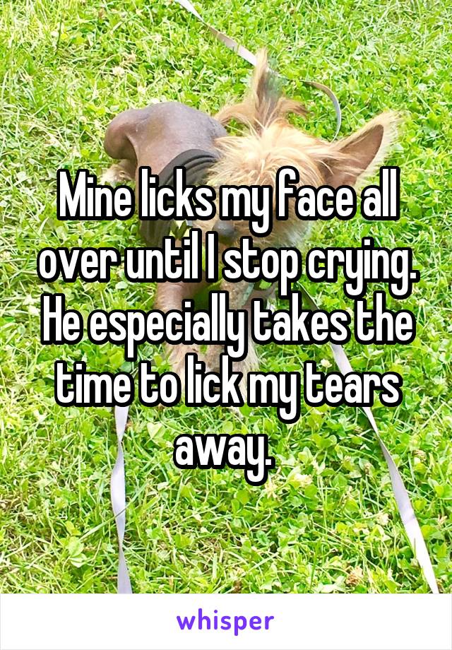 Mine licks my face all over until I stop crying. He especially takes the time to lick my tears away. 