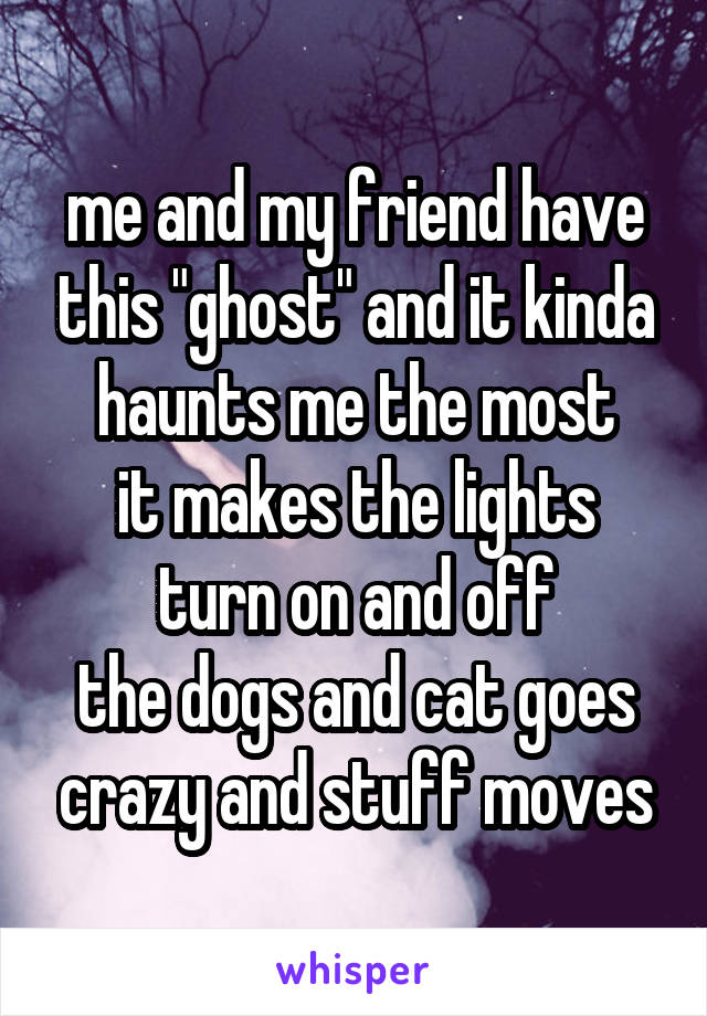 me and my friend have this "ghost" and it kinda haunts me the most
it makes the lights turn on and off
the dogs and cat goes crazy and stuff moves