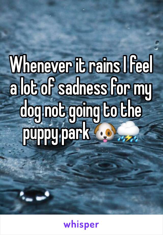 Whenever it rains I feel a lot of sadness for my dog not going to the puppy park 🐶⛈