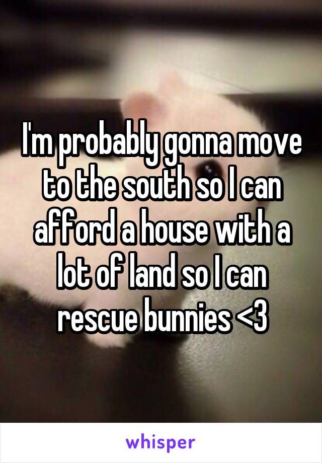 I'm probably gonna move to the south so I can afford a house with a lot of land so I can rescue bunnies <3