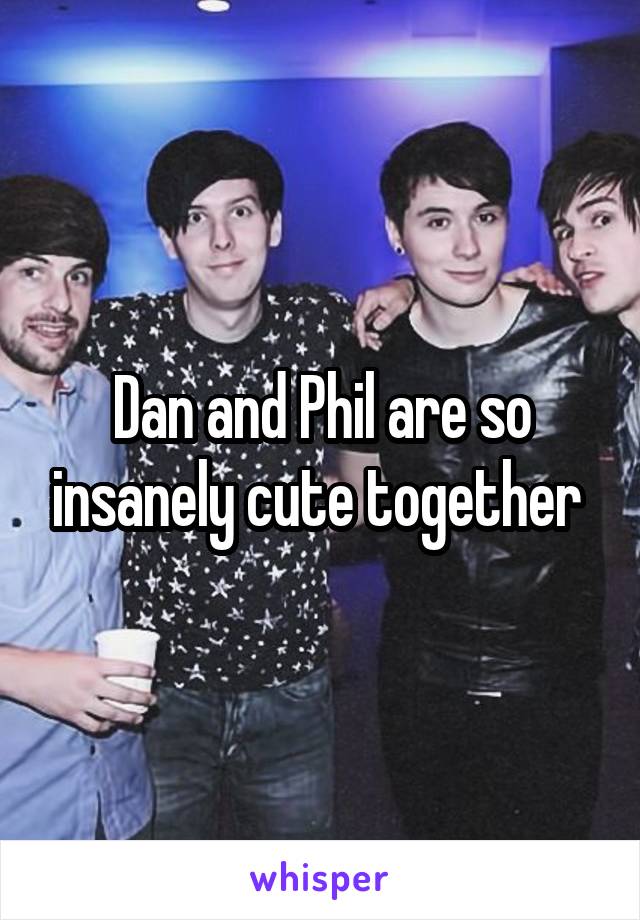 Dan and Phil are so insanely cute together 