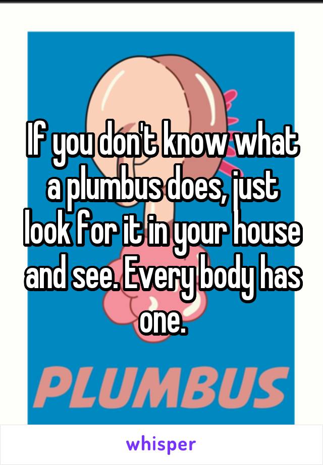 If you don't know what a plumbus does, just look for it in your house and see. Every body has one.