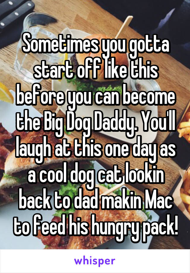 Sometimes you gotta start off like this before you can become the Big Dog Daddy. You'll laugh at this one day as a cool dog cat lookin back to dad makin Mac to feed his hungry pack!