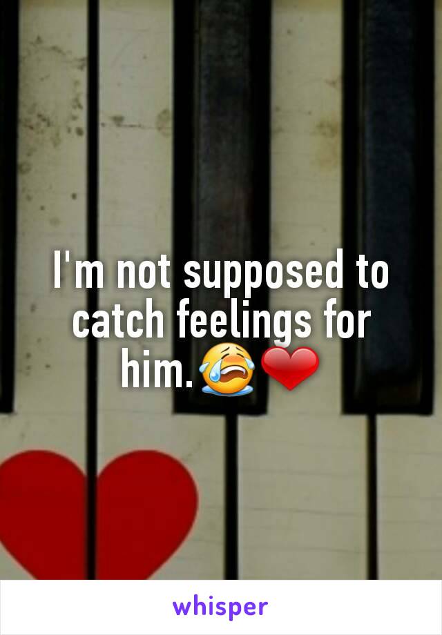 I'm not supposed to catch feelings for him.😭❤