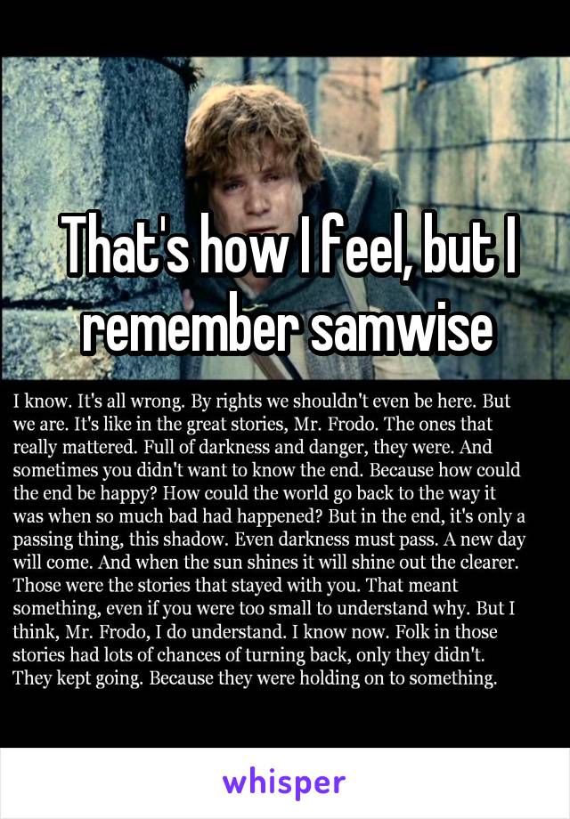 That's how I feel, but I remember samwise


