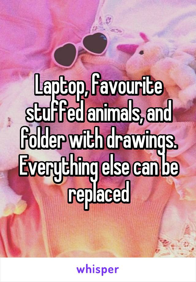 Laptop, favourite stuffed animals, and folder with drawings. Everything else can be replaced