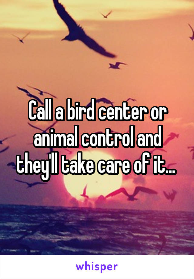 Call a bird center or animal control and they'll take care of it... 