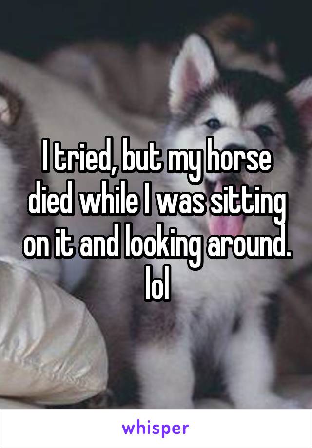 I tried, but my horse died while I was sitting on it and looking around. lol