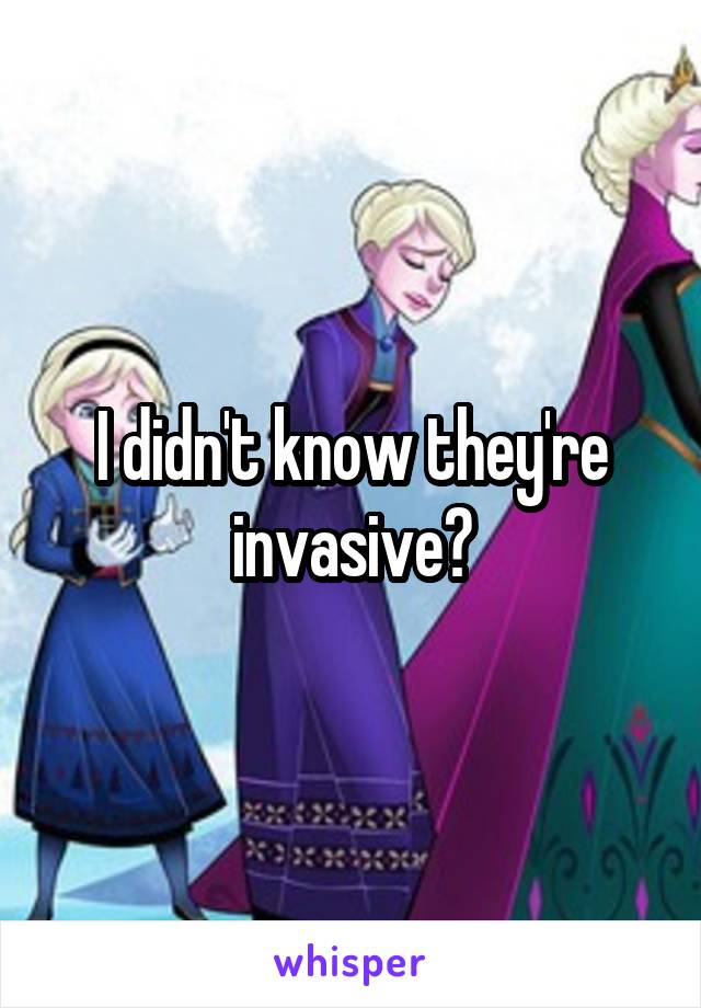 I didn't know they're invasive?