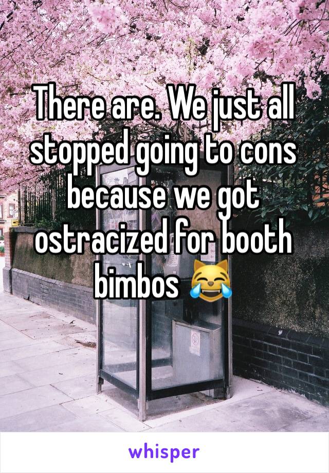 There are. We just all stopped going to cons because we got ostracized for booth bimbos 😹