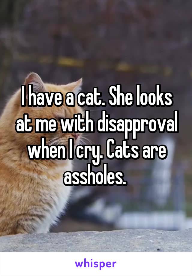 I have a cat. She looks at me with disapproval when I cry. Cats are assholes. 