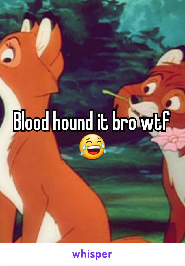 Blood hound it bro wtf 😂