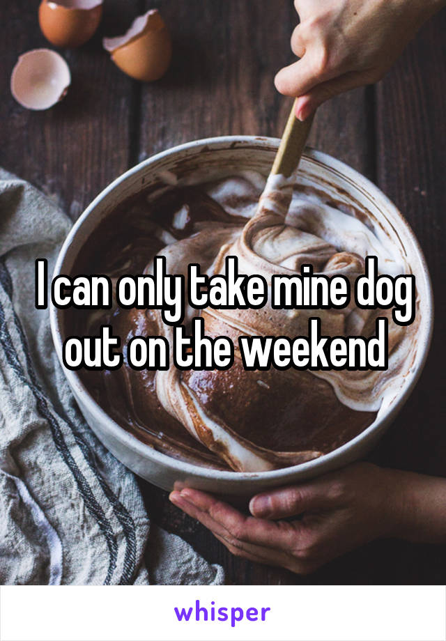 I can only take mine dog out on the weekend