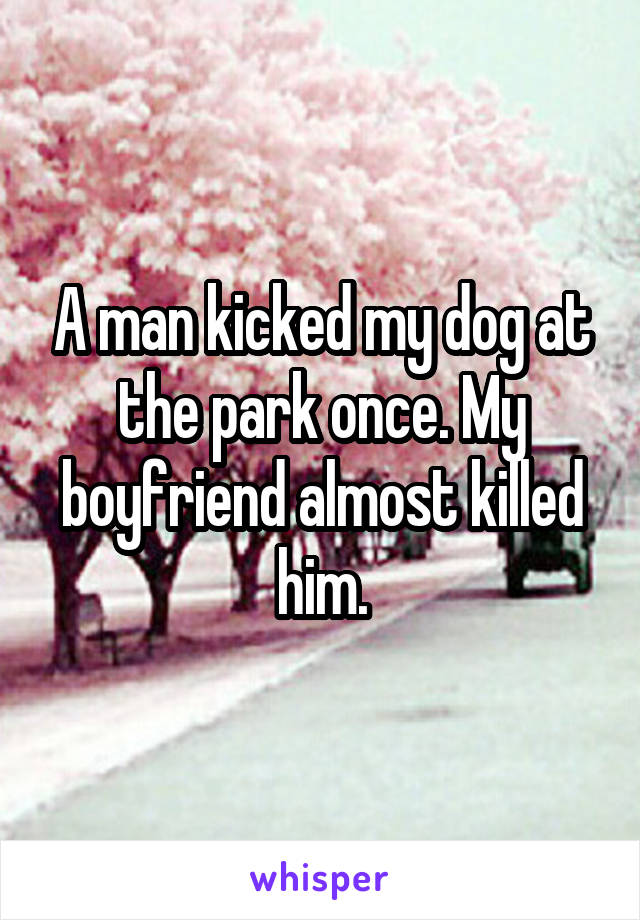 A man kicked my dog at the park once. My boyfriend almost killed him.