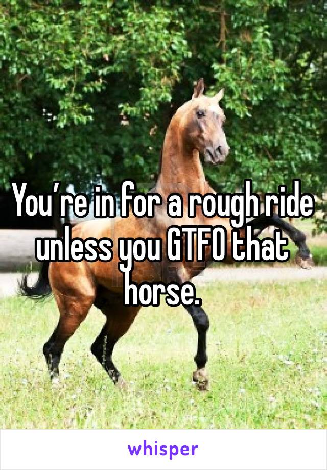 You’re in for a rough ride unless you GTFO that horse.