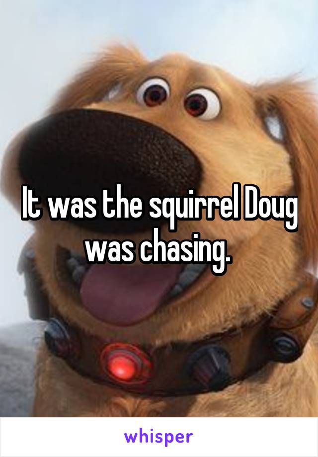 It was the squirrel Doug was chasing. 