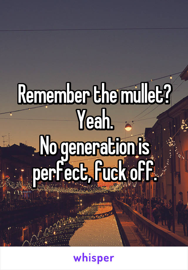 Remember the mullet?
Yeah.
No generation is perfect, fuck off.