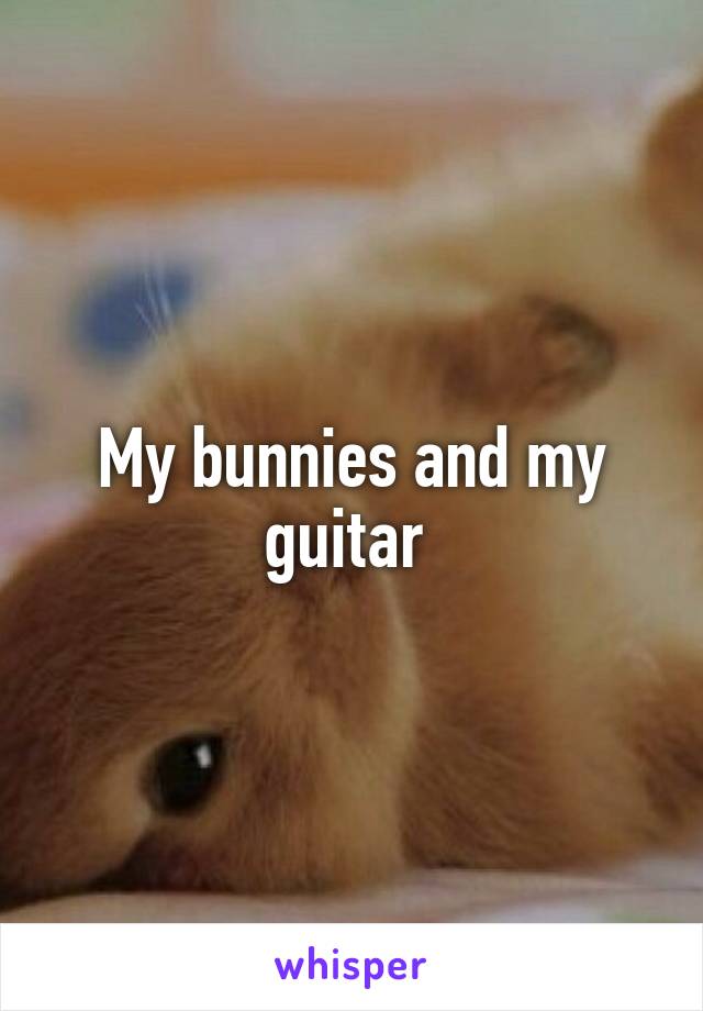 My bunnies and my guitar 