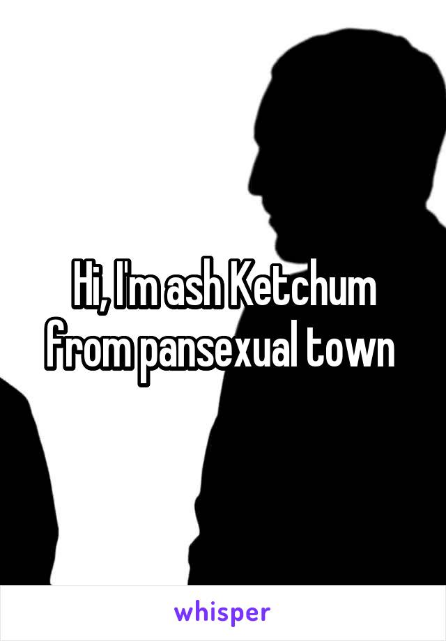 Hi, I'm ash Ketchum from pansexual town 