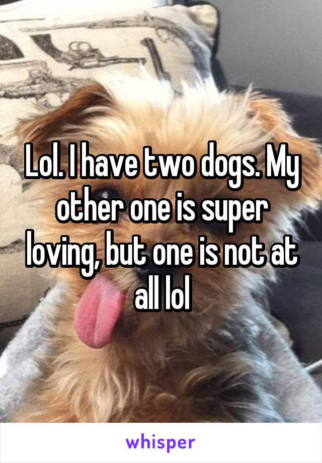 Lol. I have two dogs. My other one is super loving, but one is not at all lol