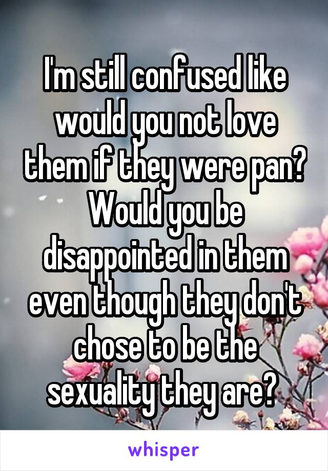 I'm still confused like would you not love them if they were pan? Would you be disappointed in them even though they don't chose to be the sexuality they are? 