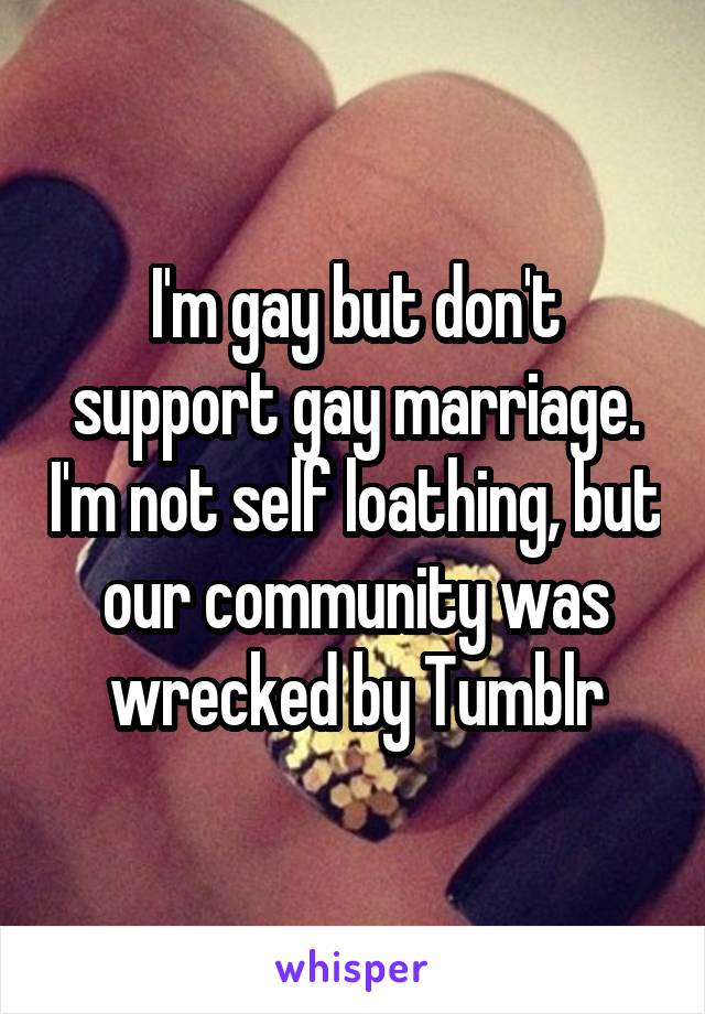 I'm gay but don't support gay marriage. I'm not self loathing, but our community was wrecked by Tumblr