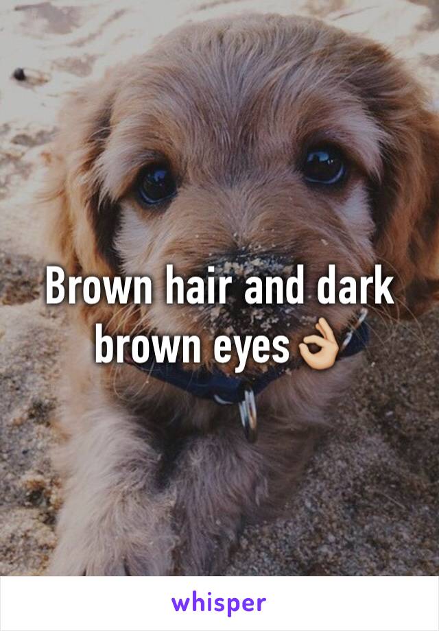 Brown hair and dark brown eyes👌🏼