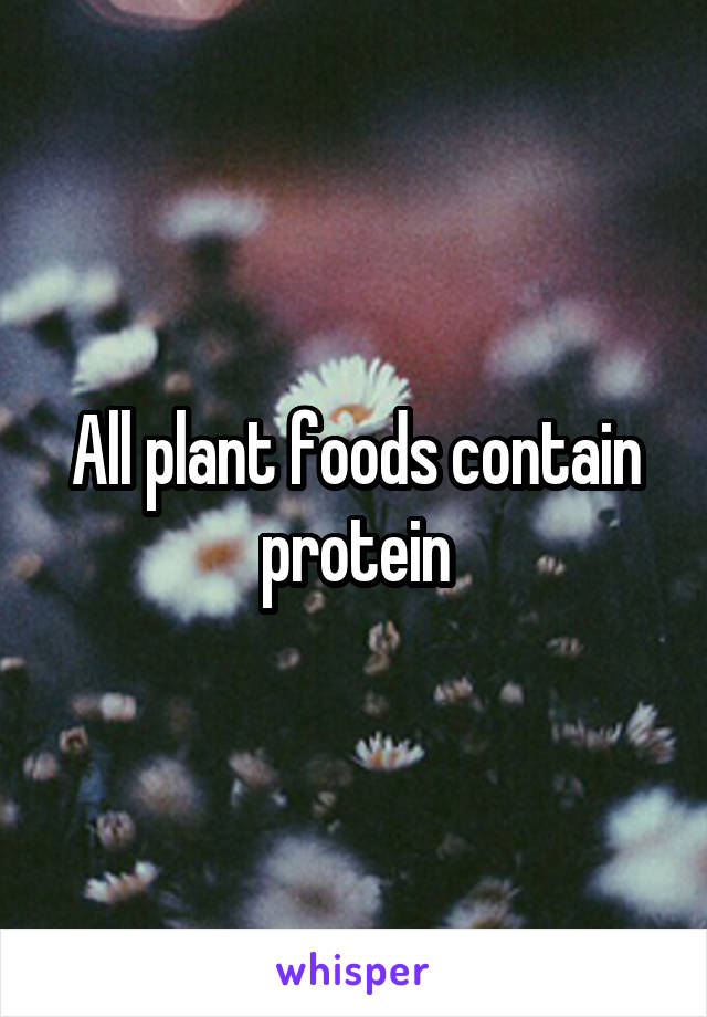All plant foods contain protein