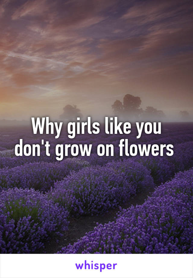 Why girls like you don't grow on flowers 