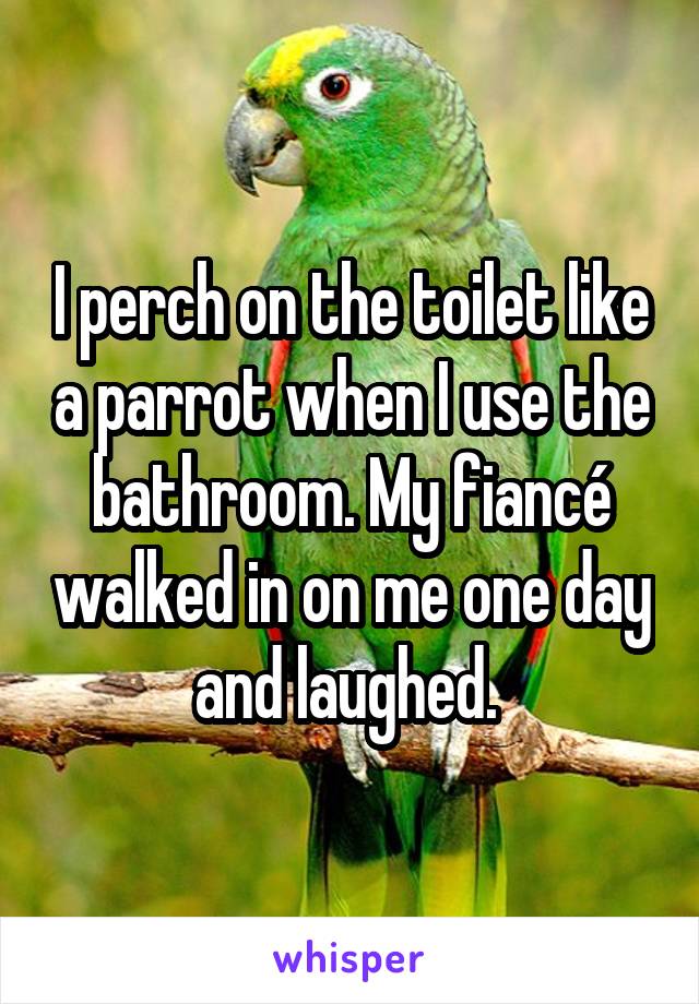 I perch on the toilet like a parrot when I use the bathroom. My fiancé walked in on me one day and laughed. 