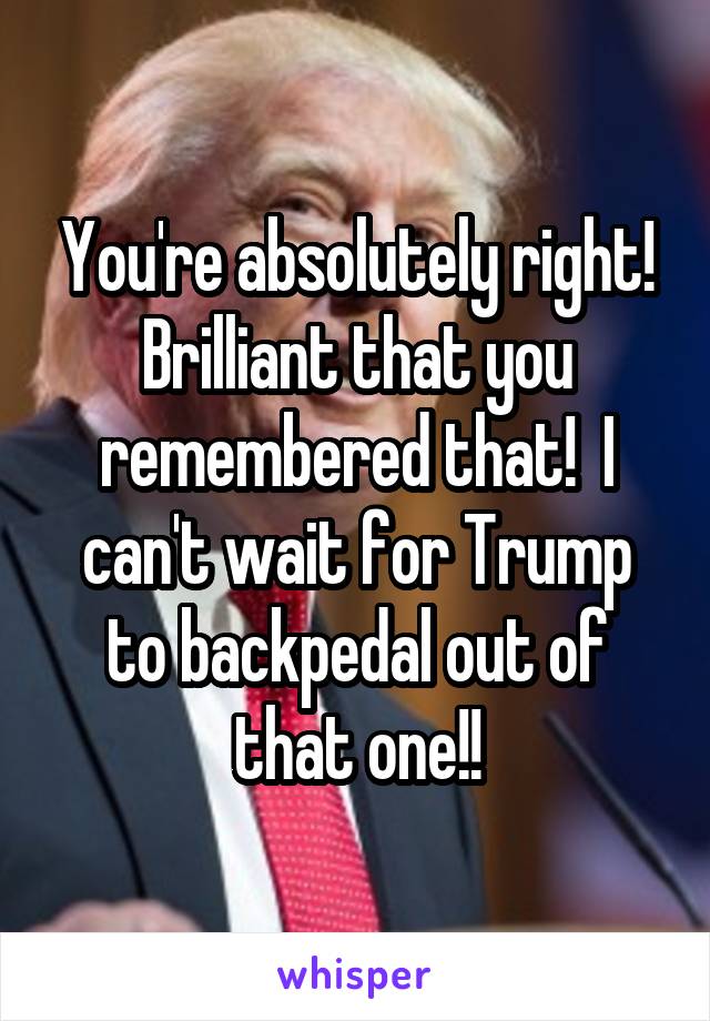 You're absolutely right! Brilliant that you remembered that!  I can't wait for Trump to backpedal out of that one!!