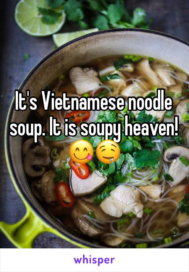 It's Vietnamese noodle soup. It is soupy heaven! 😋🤤