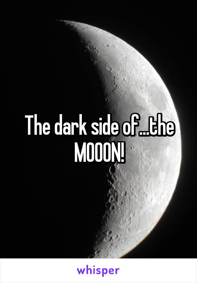 The dark side of...the MOOON!