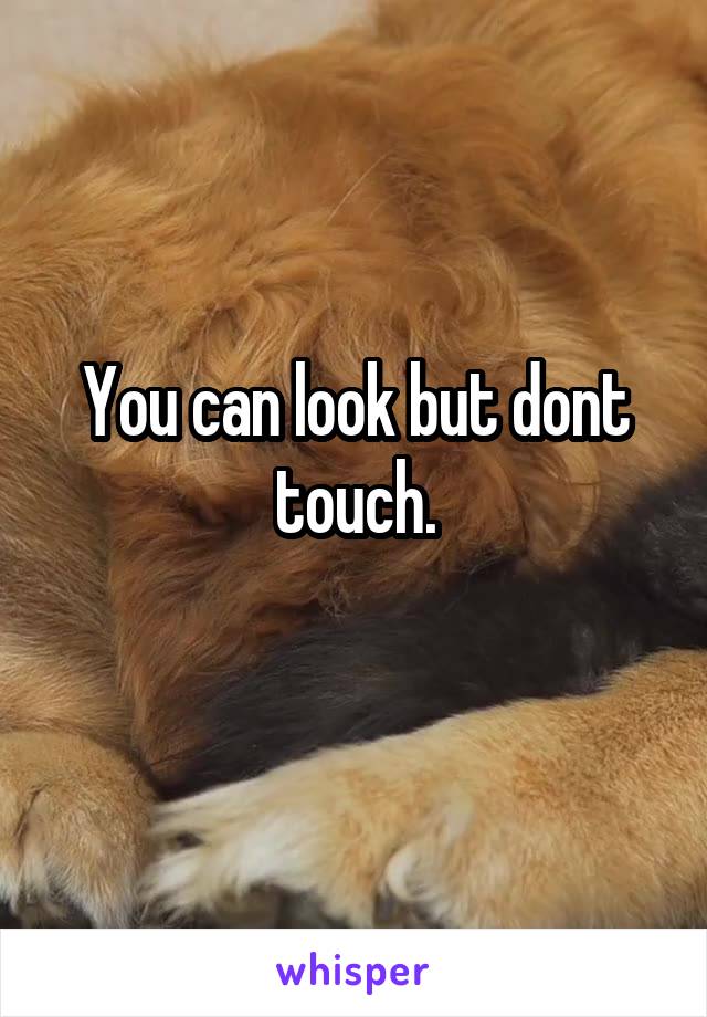 You can look but dont touch.
