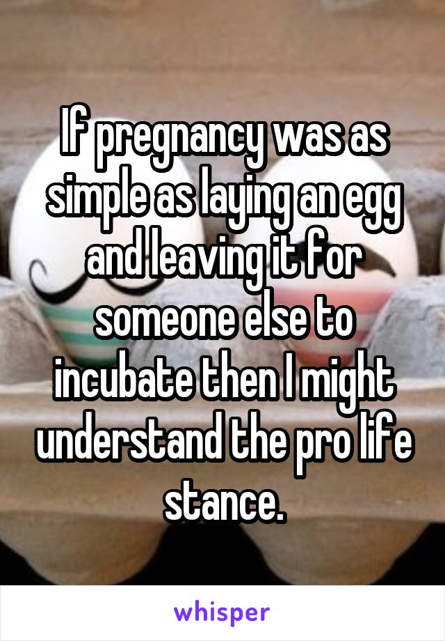 If pregnancy was as simple as laying an egg and leaving it for someone else to incubate then I might understand the pro life stance.