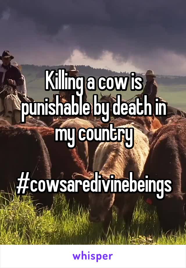 Killing a cow is punishable by death in my country

#cowsaredivinebeings