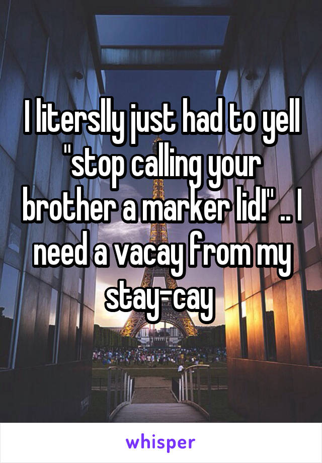 I literslly just had to yell "stop calling your brother a marker lid!" .. I need a vacay from my stay-cay 
