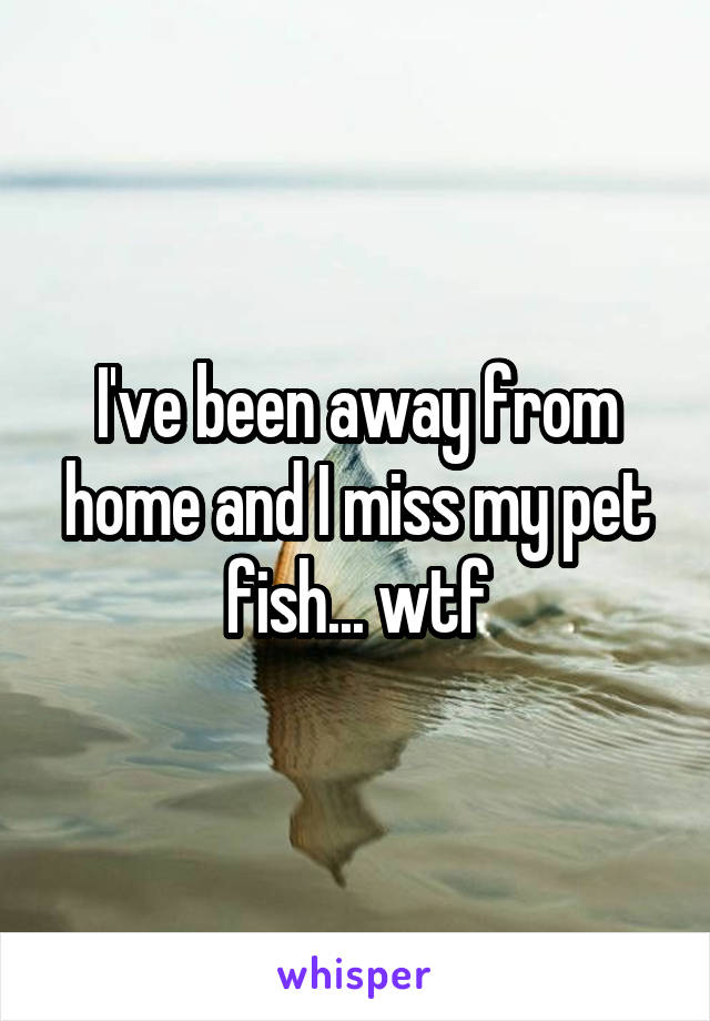 I've been away from home and I miss my pet fish... wtf