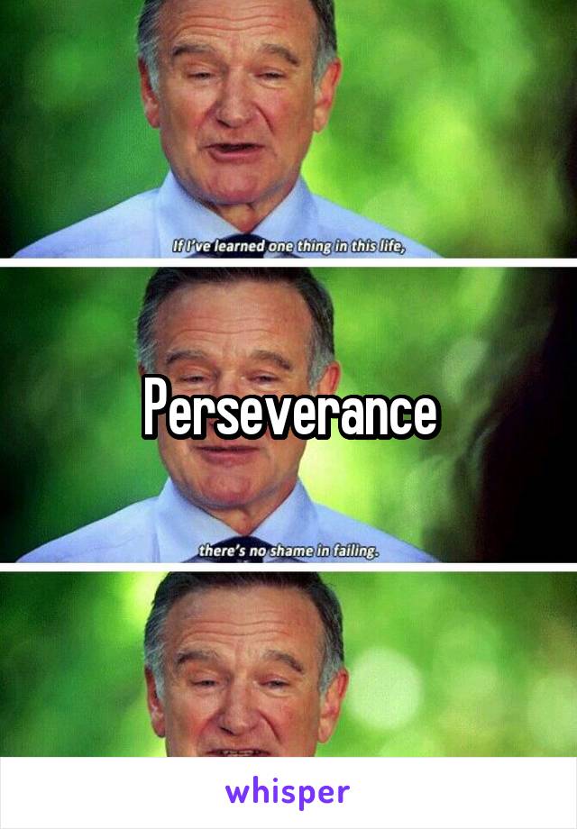 Perseverance