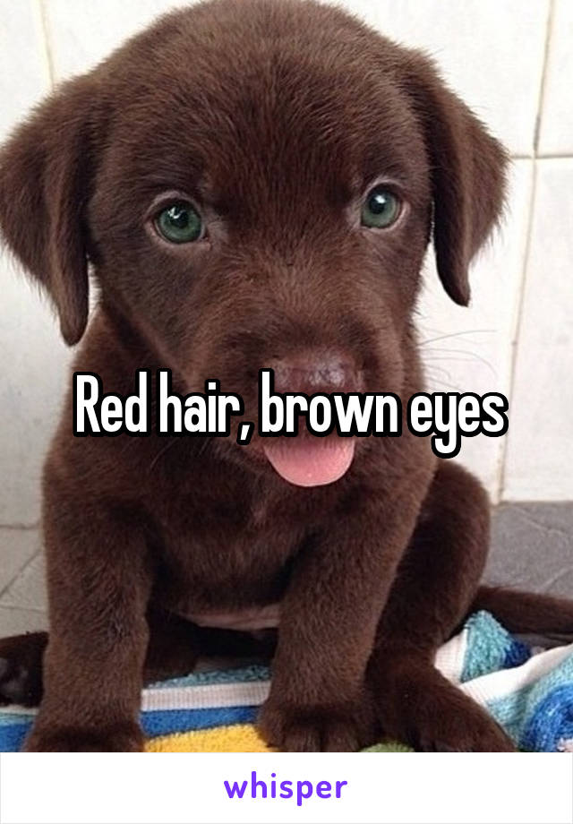 Red hair, brown eyes