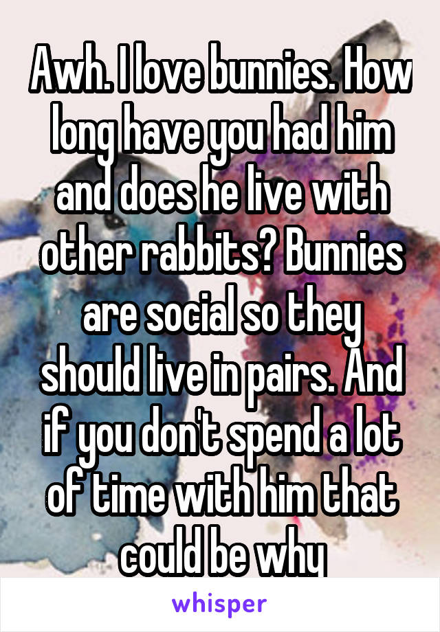 Awh. I love bunnies. How long have you had him and does he live with other rabbits? Bunnies are social so they should live in pairs. And if you don't spend a lot of time with him that could be why