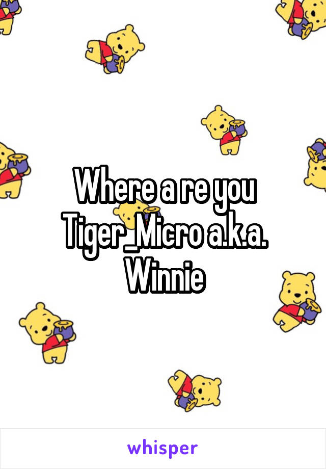 Where a re you Tiger_Micro a.k.a. Winnie