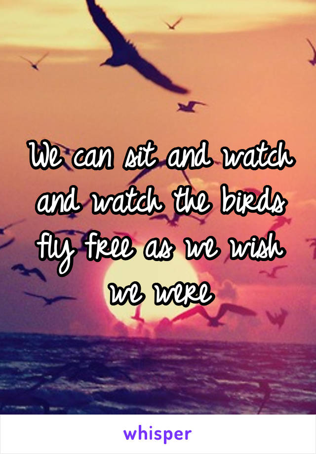 We can sit and watch and watch the birds fly free as we wish we were