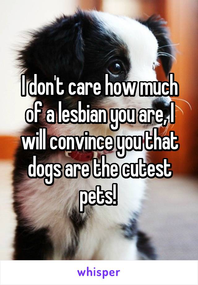 I don't care how much of a lesbian you are, I will convince you that dogs are the cutest pets! 