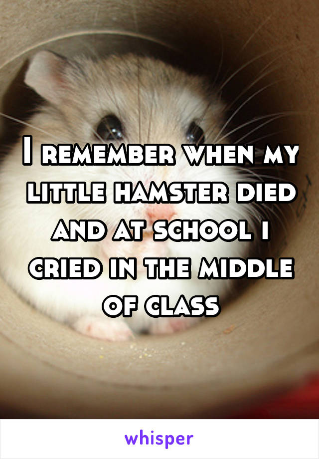 I remember when my little hamster died and at school i cried in the middle of class